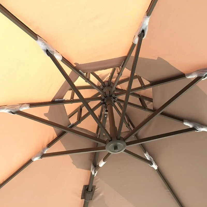 MyB 003-R双顶小罗马倾斜大肋骨左右 - 图像 5