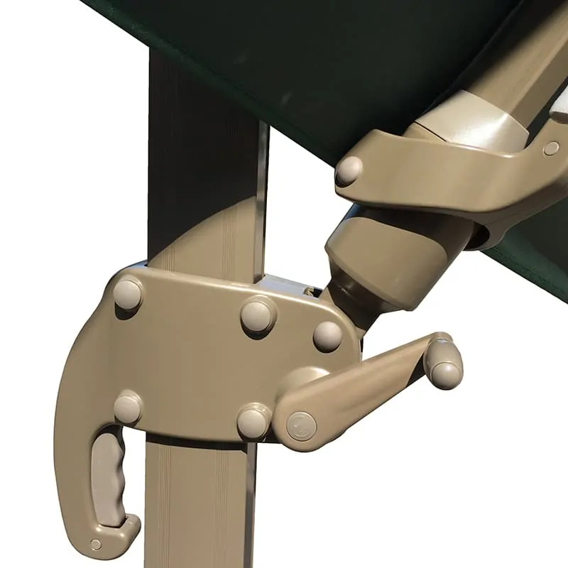 MyB 003-R双顶小罗马倾斜大肋骨左右 - 图像 3