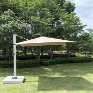 Butterfly Umbrella Luxurious Automatic