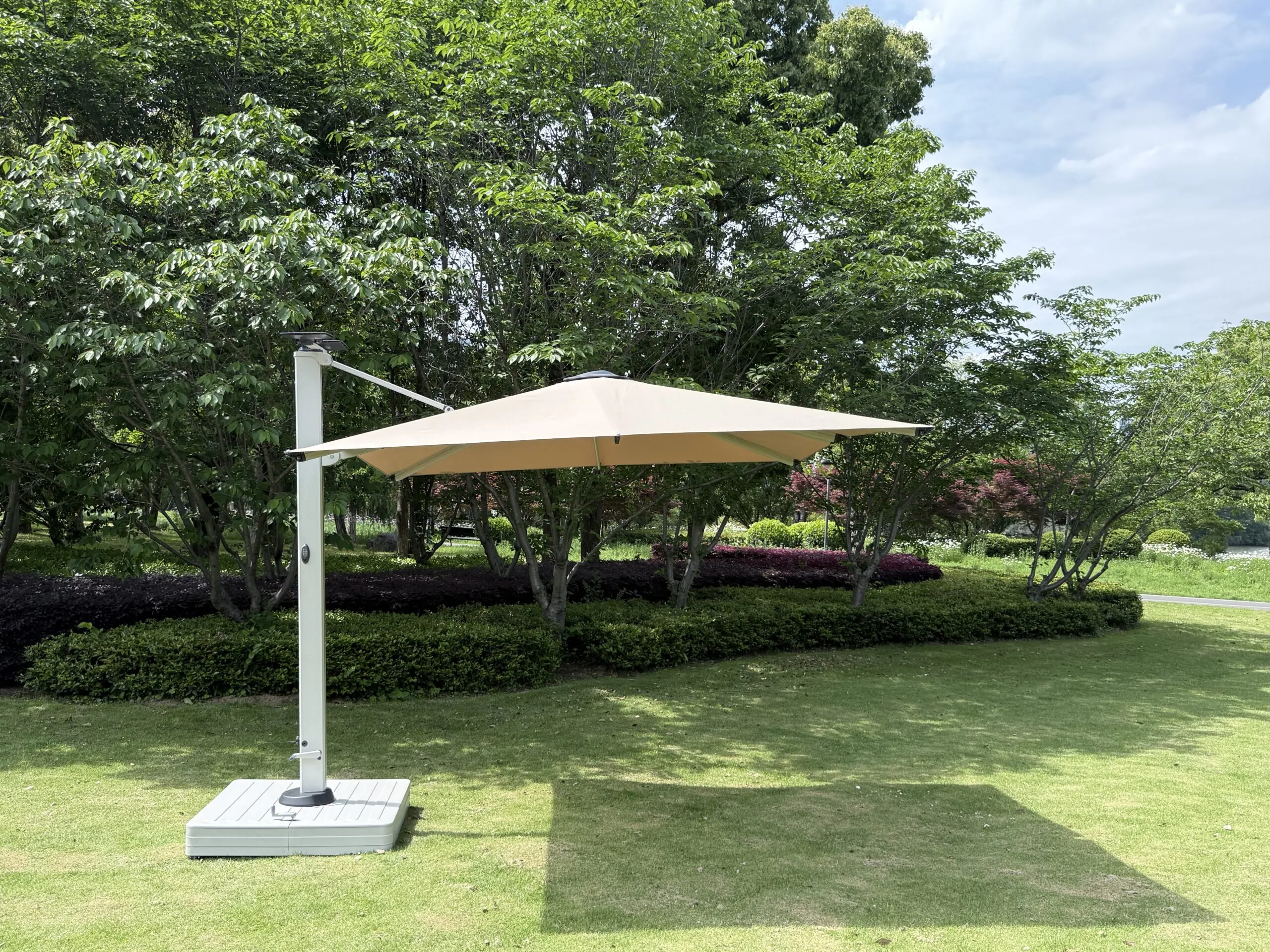 Butterfly Umbrella Luxurious Automatic