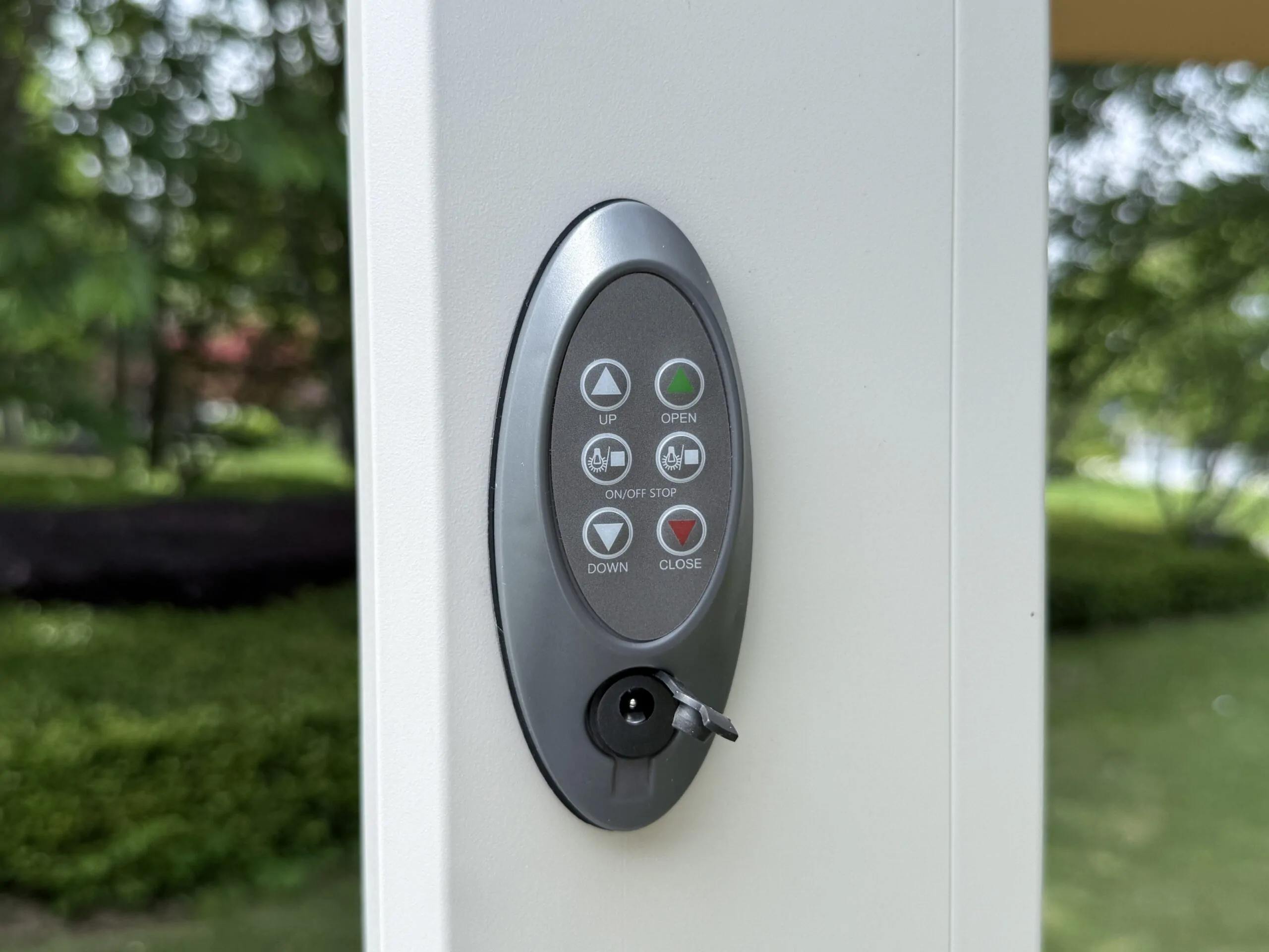 Butterfly Umbrella Luxurious Automatic - Image 2