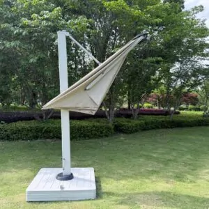 Butterfly Umbrella Luxurious