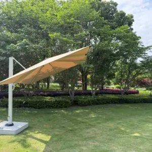 Butterfly Umbrella Luxurious