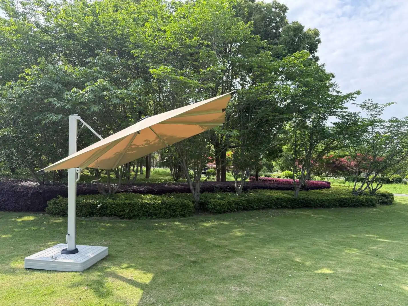 Butterfly Umbrella Luxurious